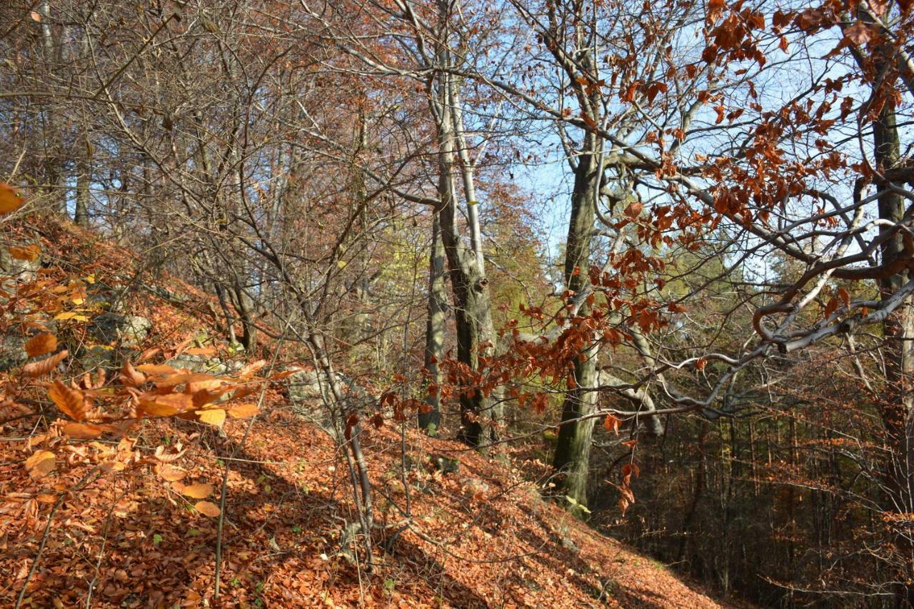 Dom Turysty "Tramp" Otel Bukowno Dış mekan fotoğraf